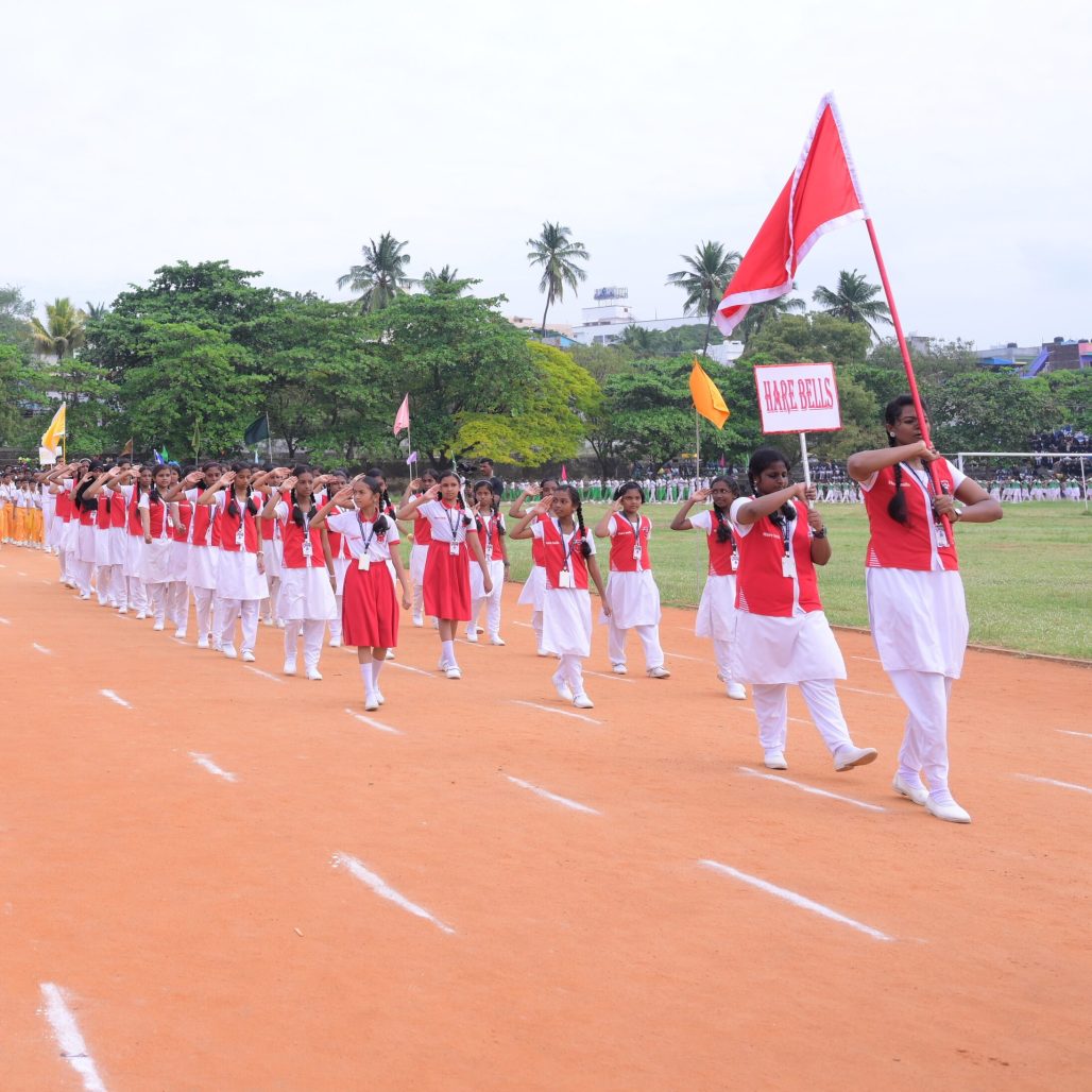 BMK_4602 BMK_4602